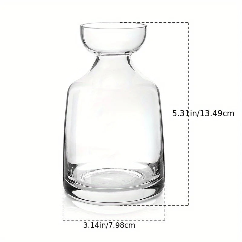 Avocado Seed Starter Glass Vase