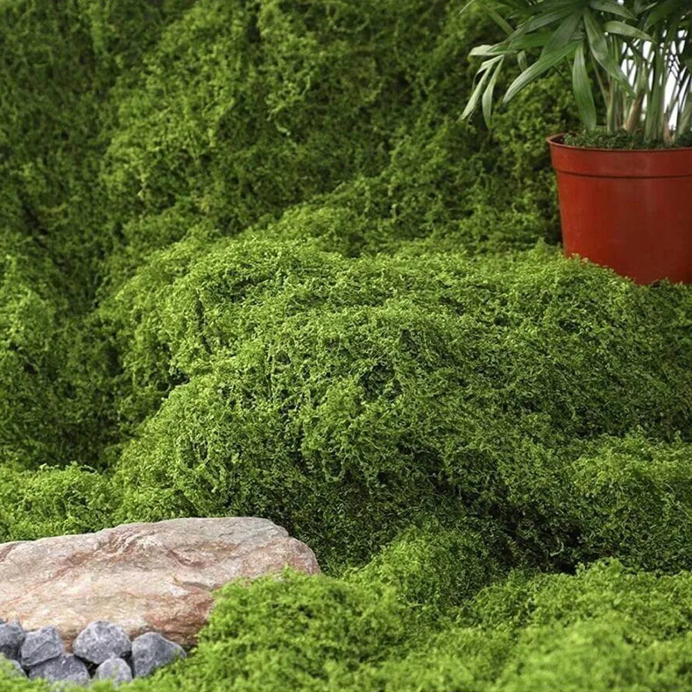 Artificial Preserved Moss Mat