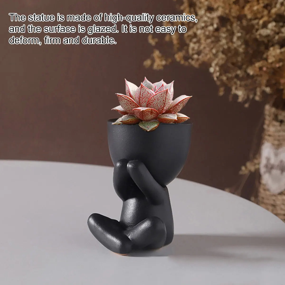 Animal Shaped Ceramic Succulent Pots