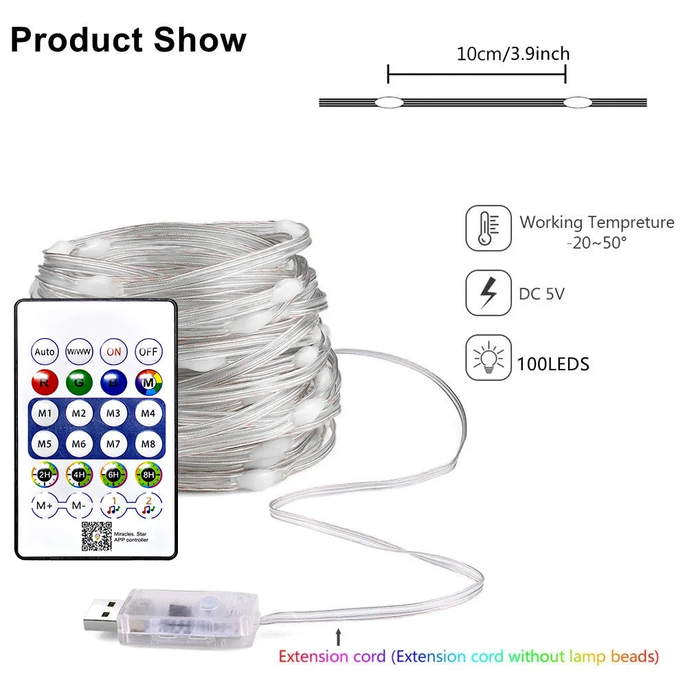 Bluetooth RGBIC Color Fairy String Lights