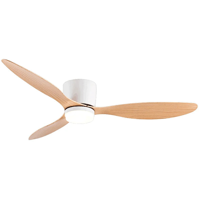 Quiet DC Motor Ceiling Fan