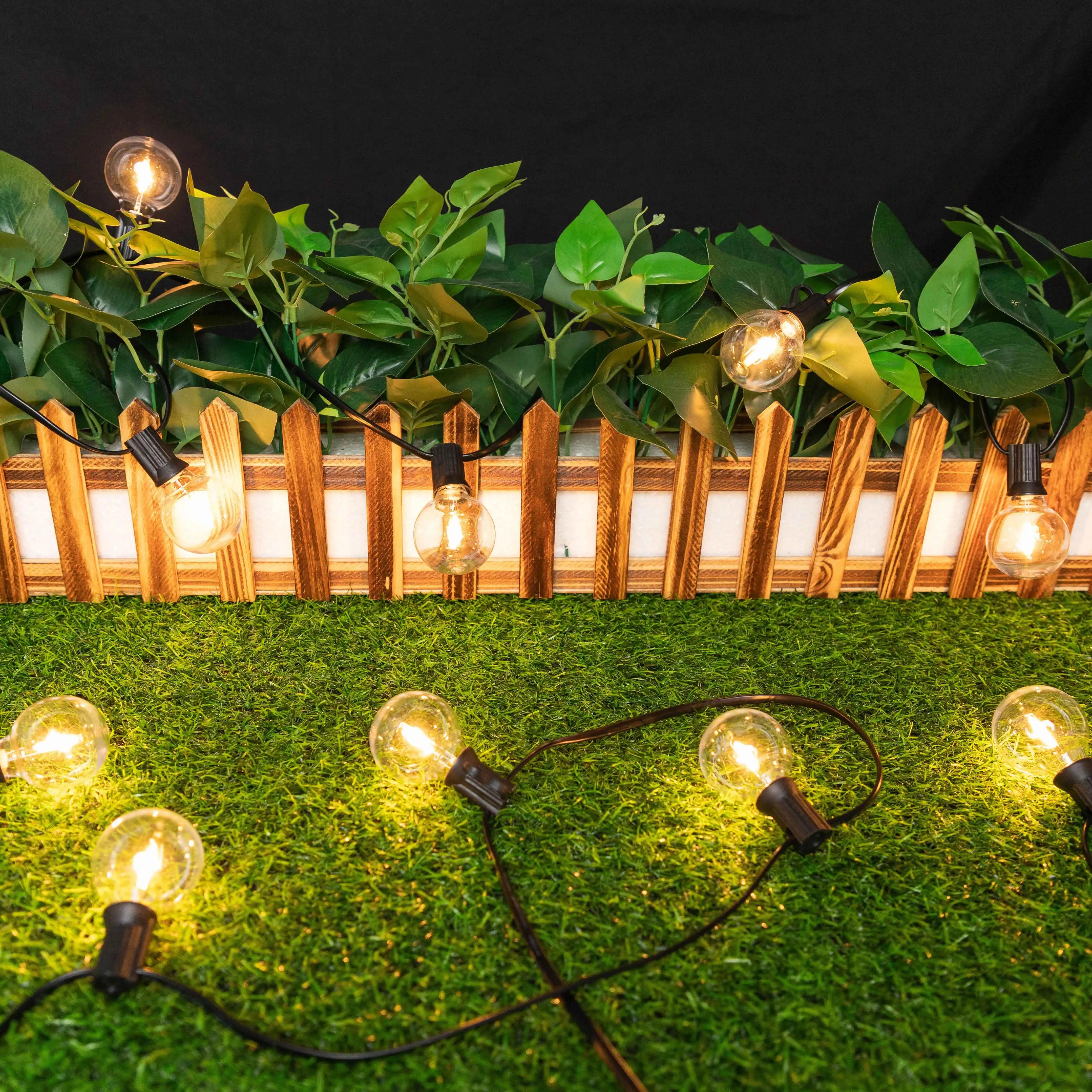 Solar G40 Globe String Lights