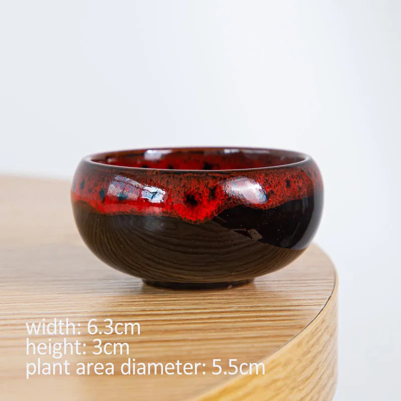 Mini Ceramic Bonsai Pots Set of 6