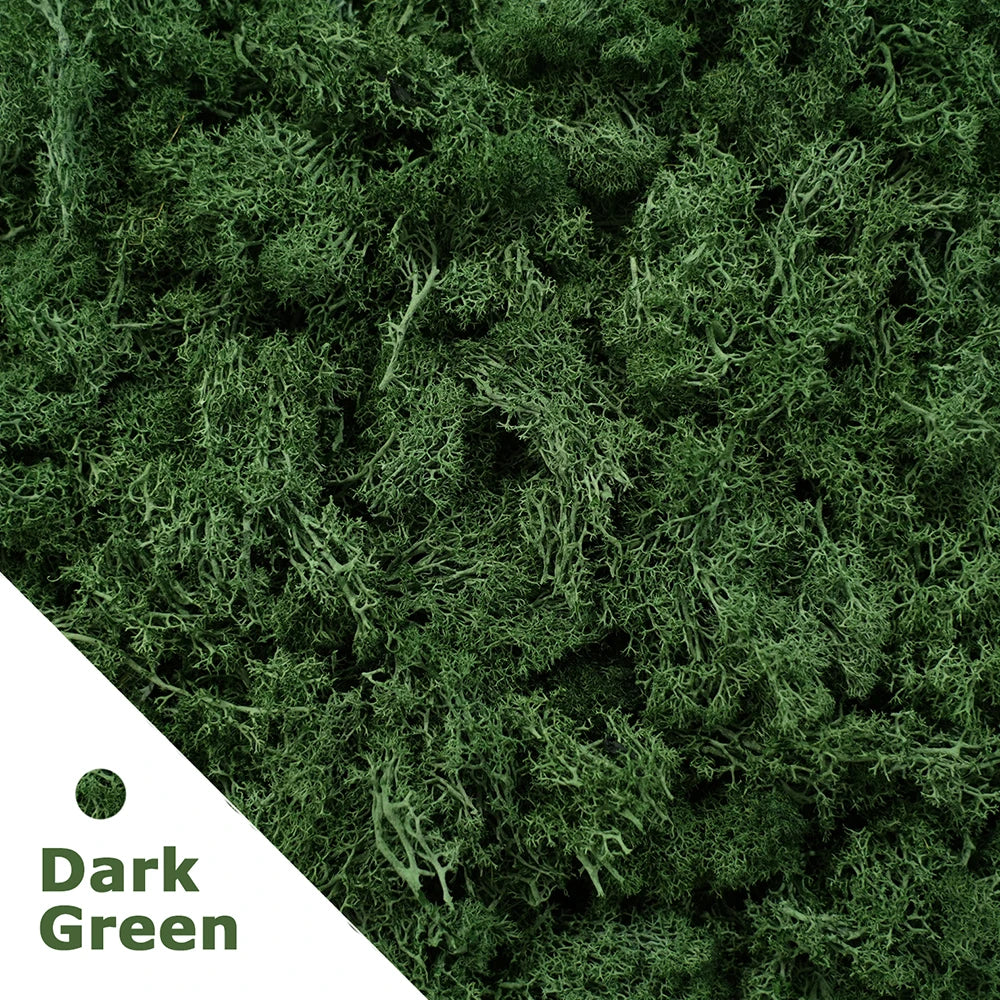 200g Artificial Green Plants Mini Landscape Eternal Life Moss