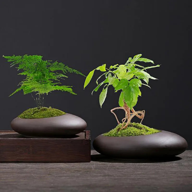 Retro Purple Clay Plant Pot Chinese Style Orchid Asparagus