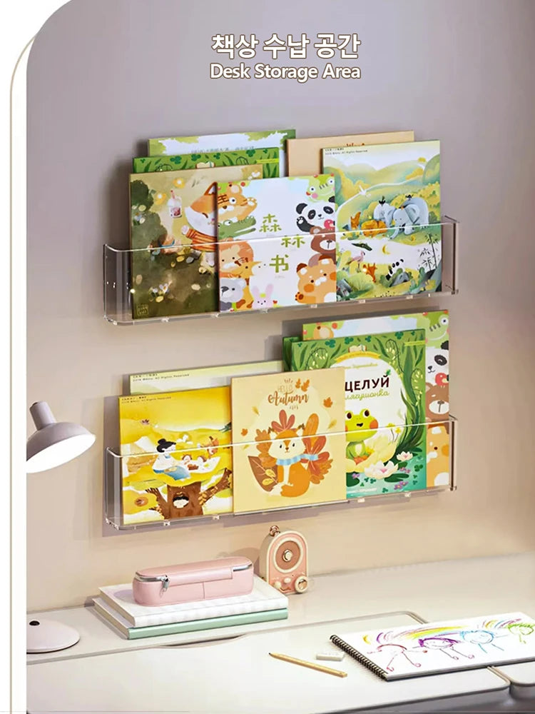 Wall Mounted Book Display Shelf