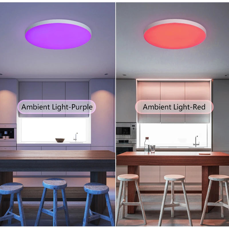 Smart Dimmable RGB LED Ceiling Light