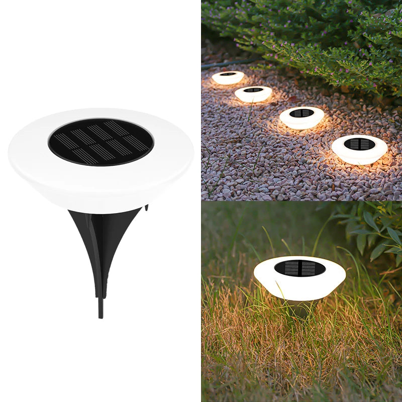 Solar Disk Pathway Lights