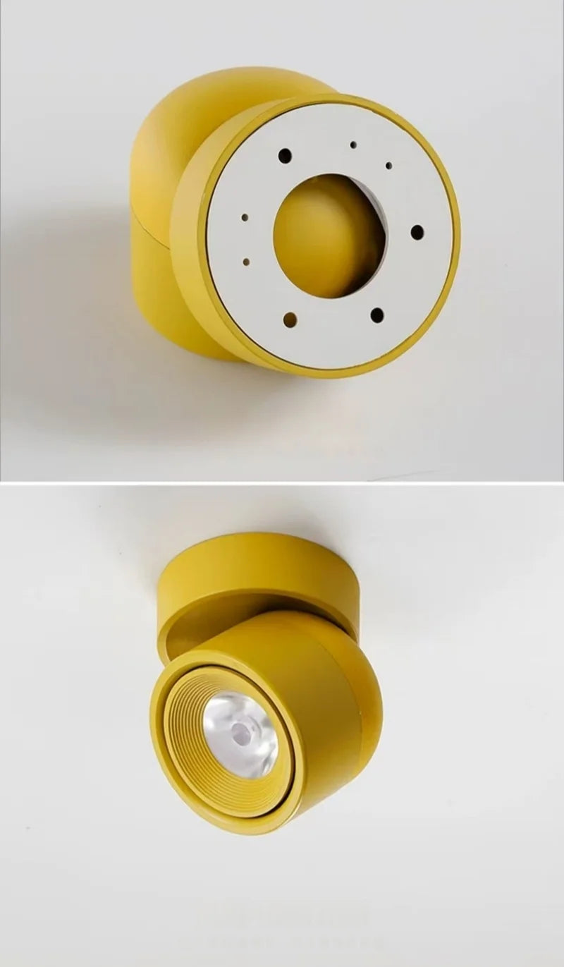 Rotatable Anti Glare Surface Mount Spotlight