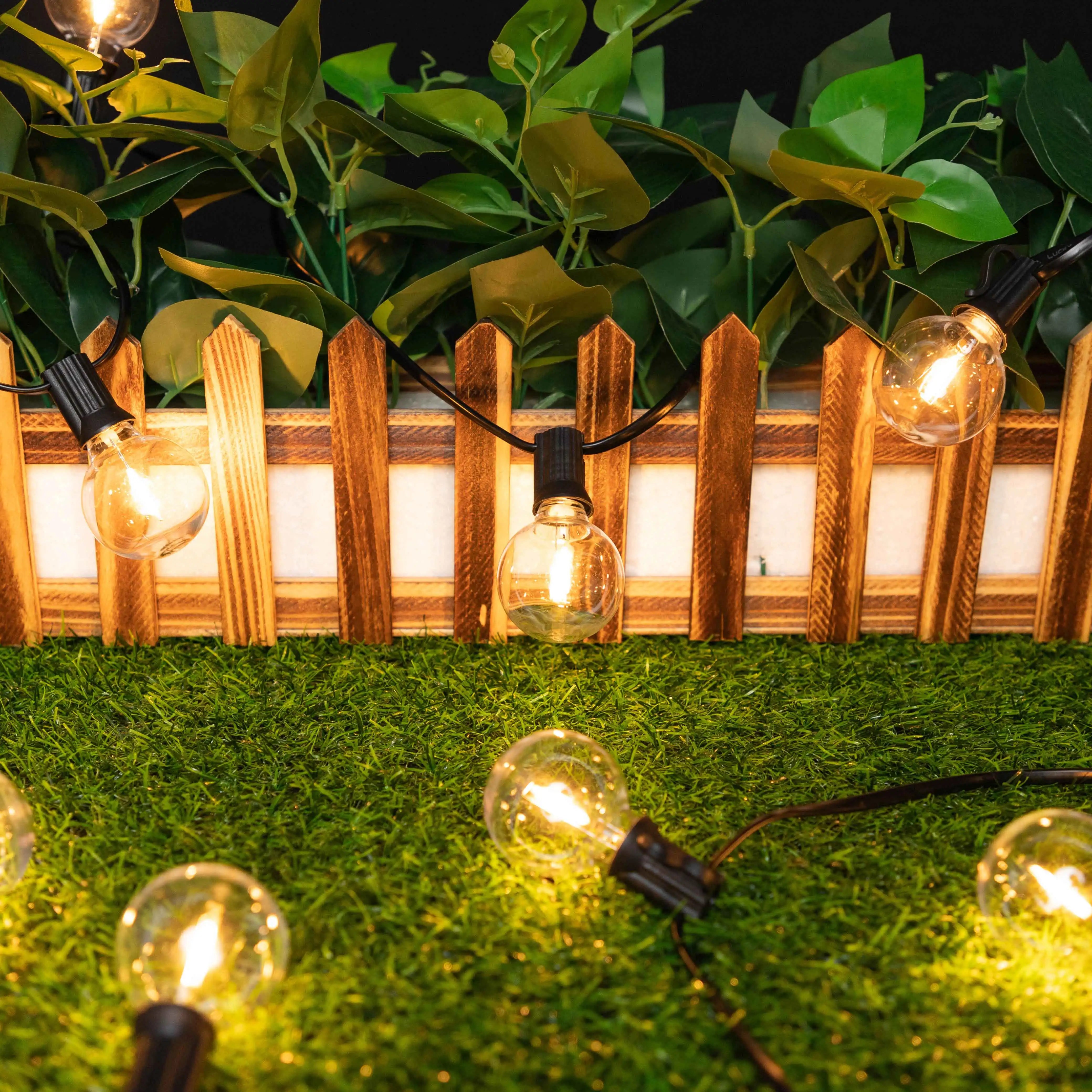 Solar G40 Globe String Lights