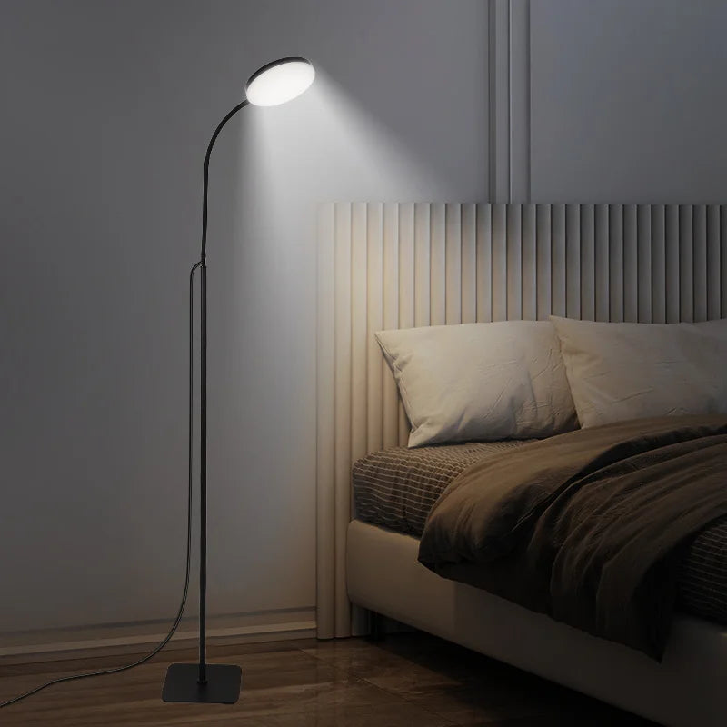 Circular LED Floor Lamp