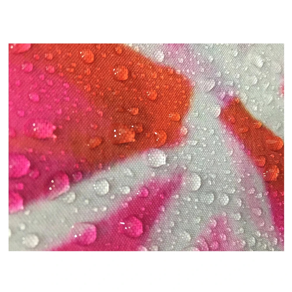 Dolphin Ocean Shower Curtain