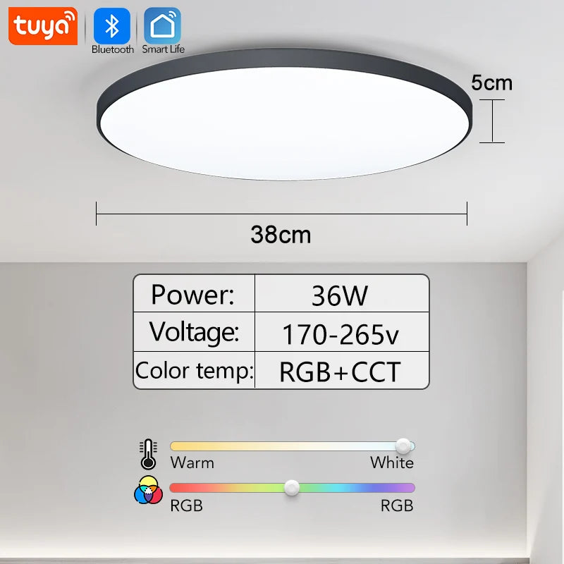 Smart Dimmable RGB LED Ceiling Light
