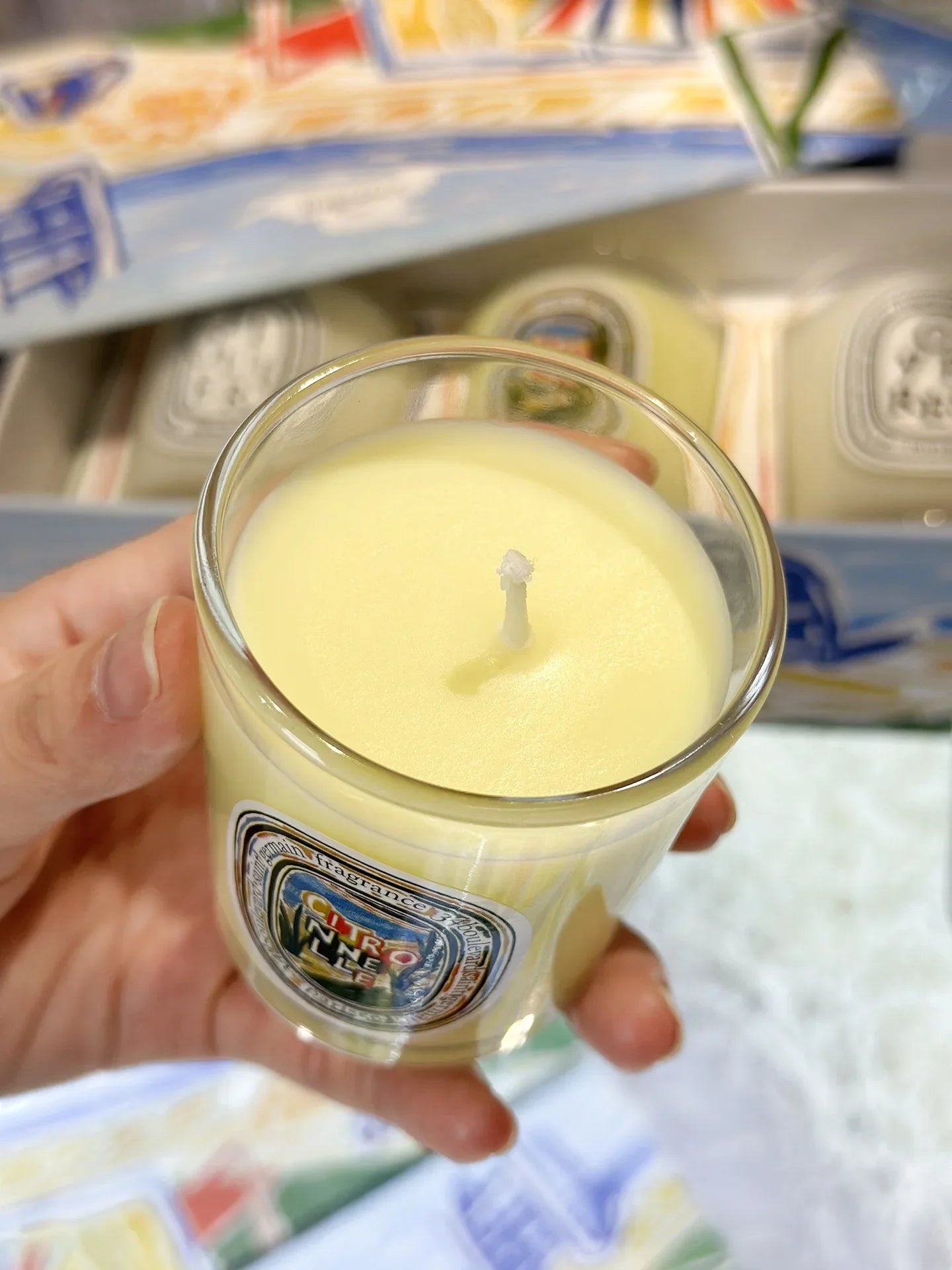 Aromatherapy Candle Natural Plant Scented Candles French Fragrance