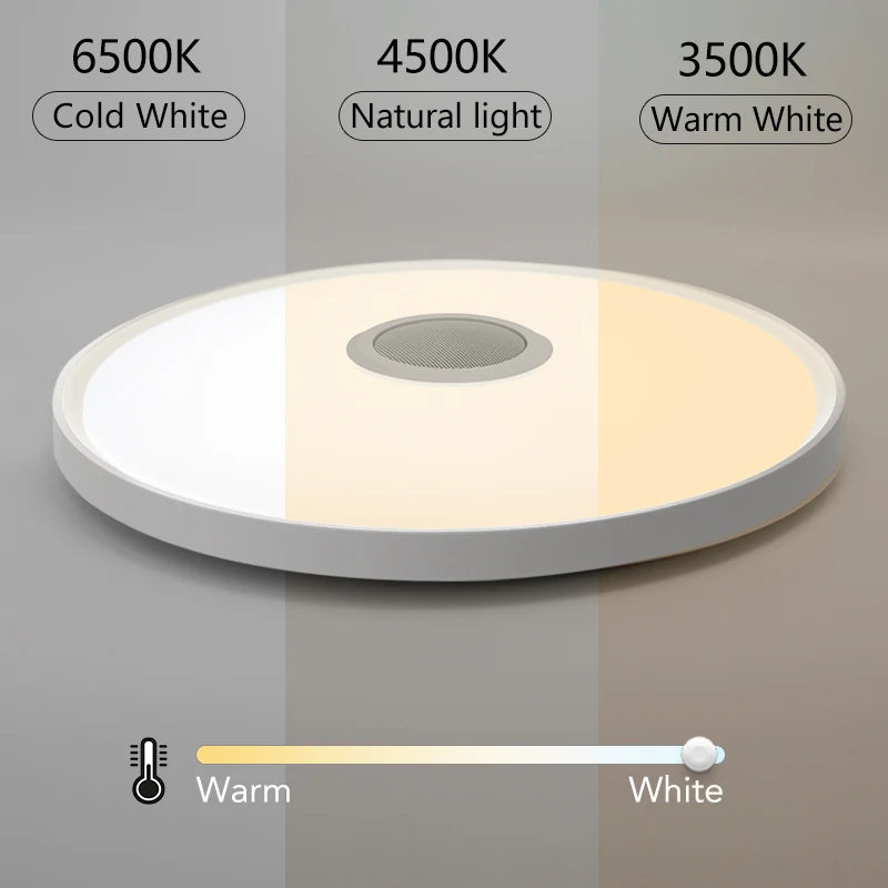 LED Smart Ceiling Lamps RGB APP Remote Control Dimming Modern