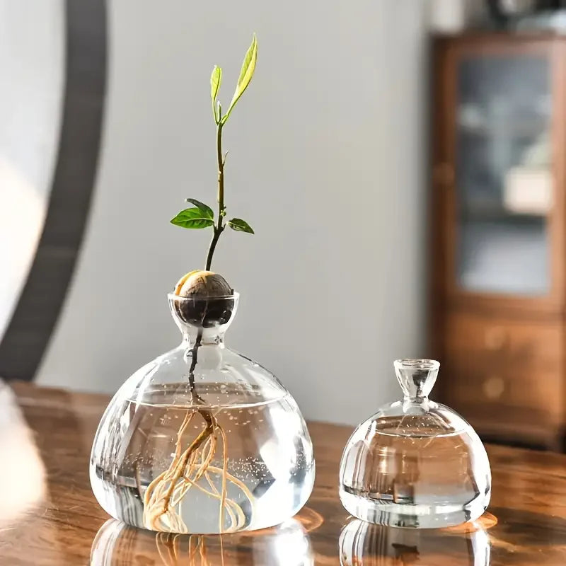 Glass Bulb Seed Starter Vase