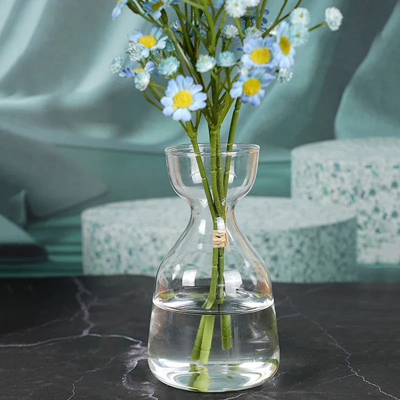 Four-piece Avocado Seed Starter Vase- Grow Your Own Avocado