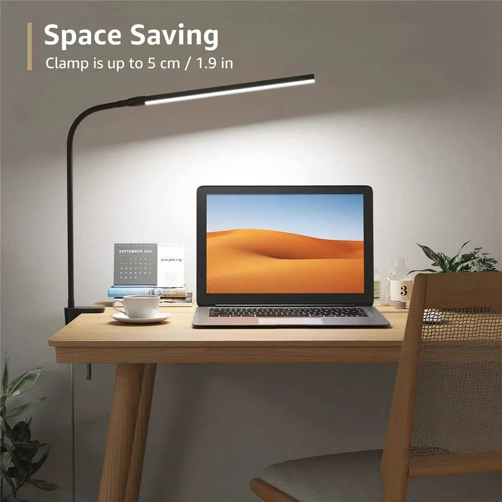 Architect Gooseneck Desk Lamp