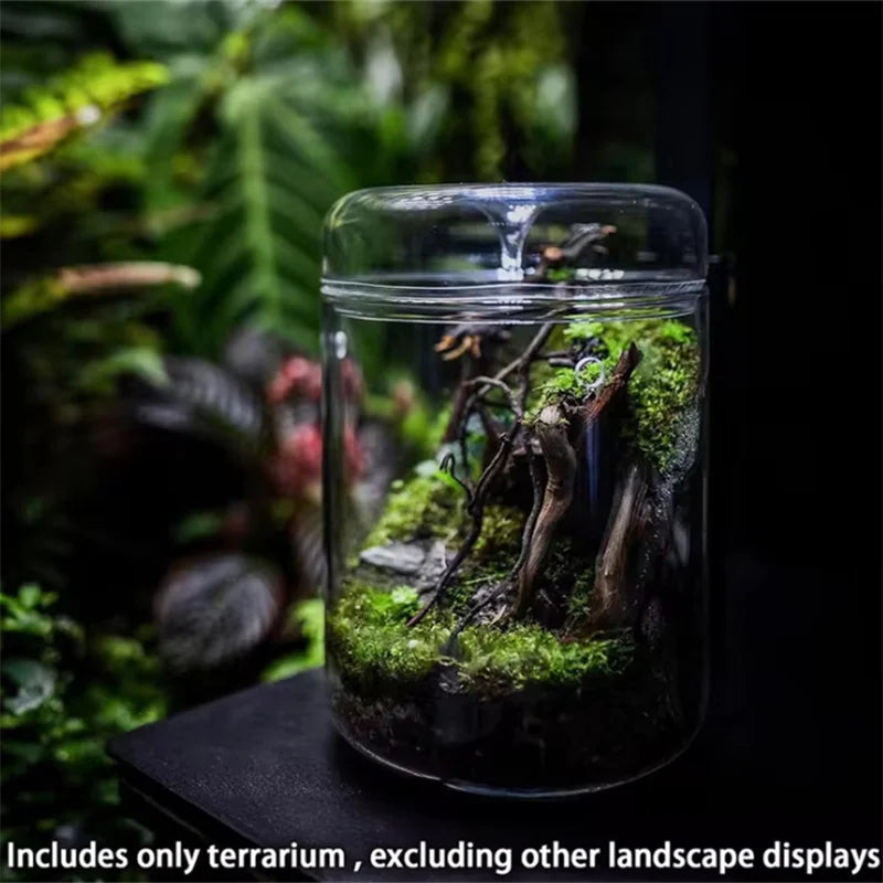 Glass Terrarium Bottle Vase