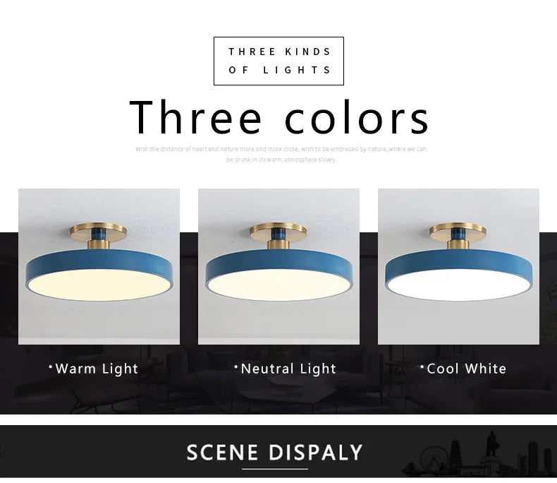 Circular Macaron Dimmable Ceiling Light
