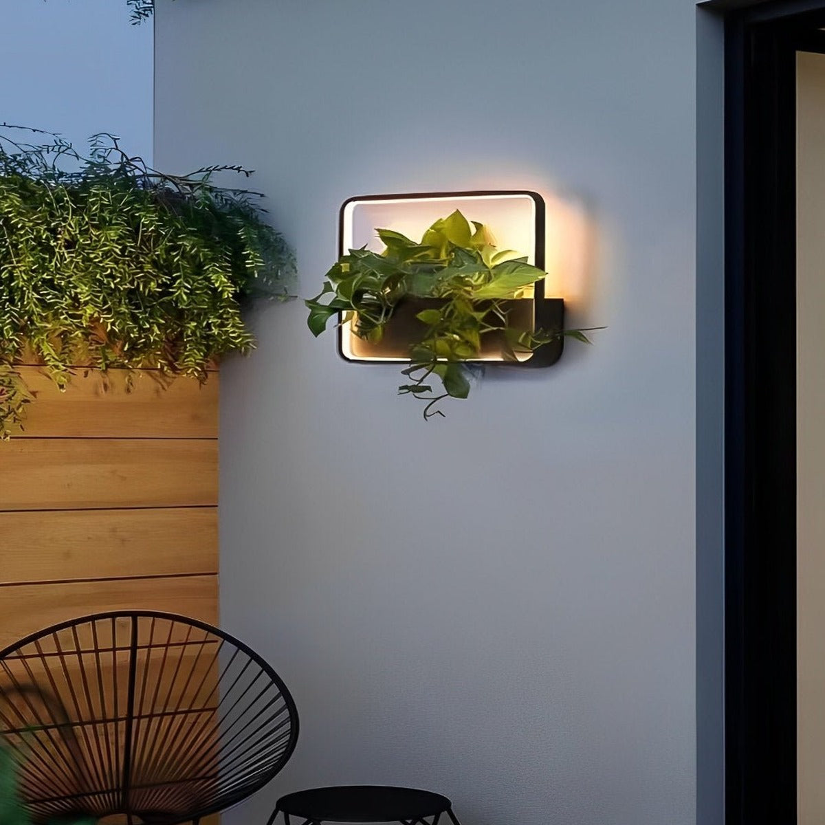 Living Planter Wall Light, Black Stainless Steel Outdoor Sconce 11