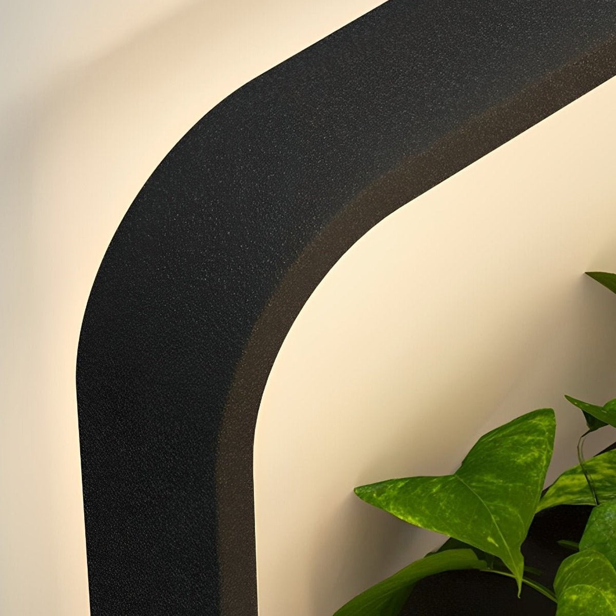 Living Planter Wall Light, Black Stainless Steel Outdoor Sconce 13