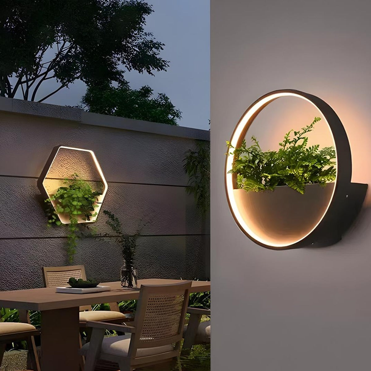 Living Planter Wall Light, Black Stainless Steel Outdoor Sconce 3