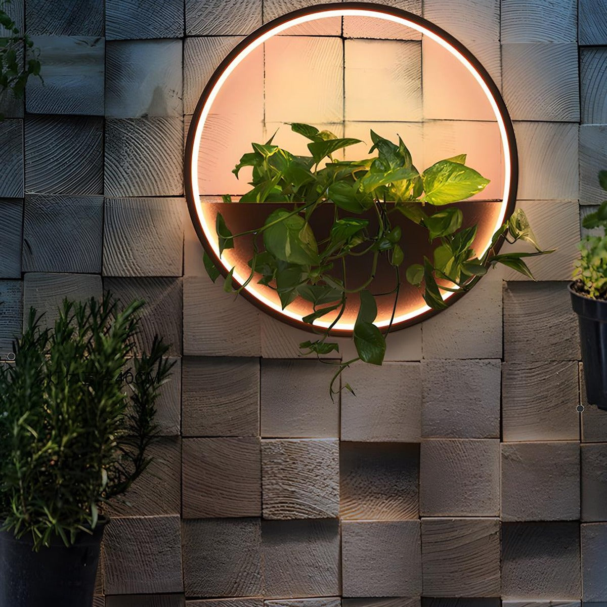 Living Planter Wall Light, Black Stainless Steel Outdoor Sconce 6