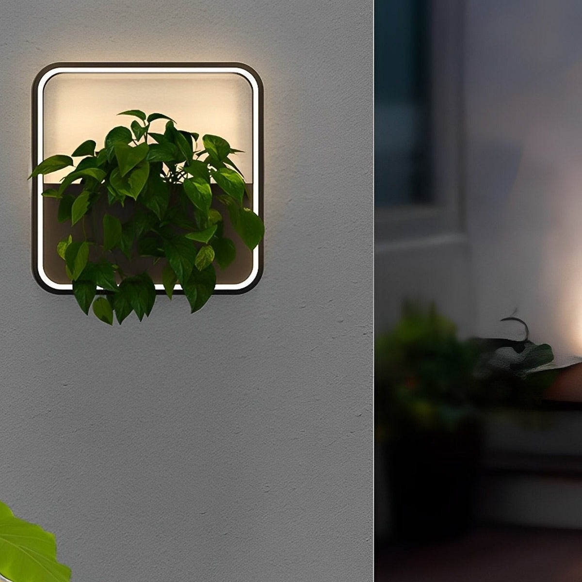 Living Planter Wall Light, Black Stainless Steel Outdoor Sconce 7