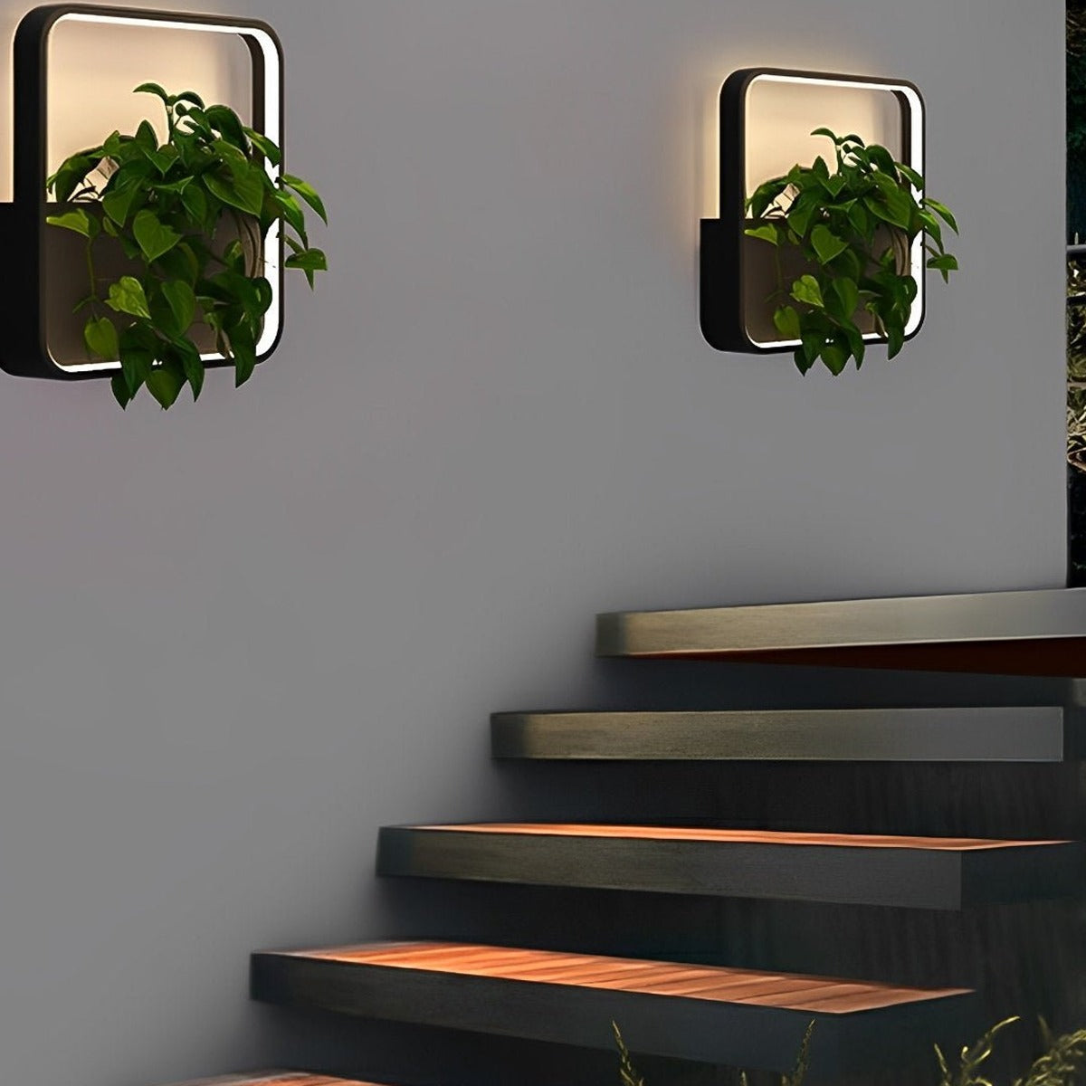 Living Planter Wall Light, Black Stainless Steel Outdoor Sconce 9