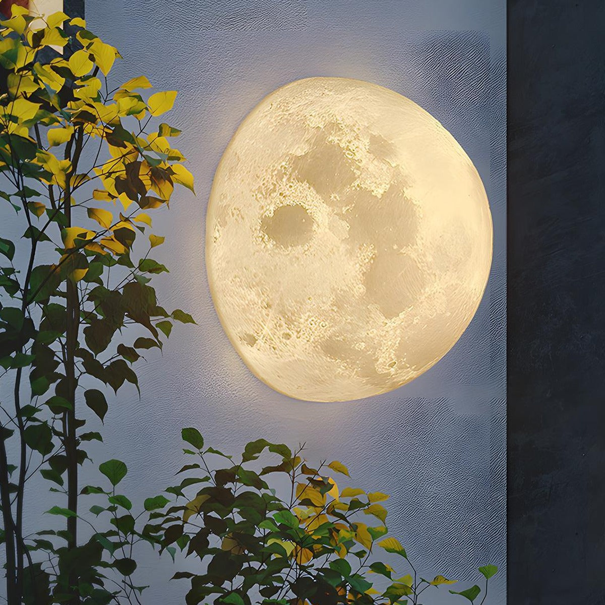 Lunar Relief Moon Wall Light, White Resin Outdoor Porch Sconce