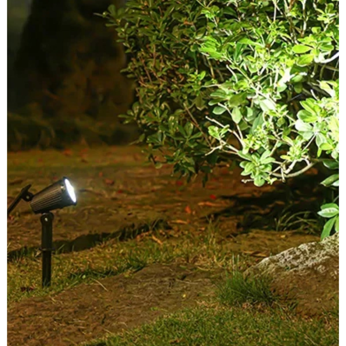 Solar spotlight white light