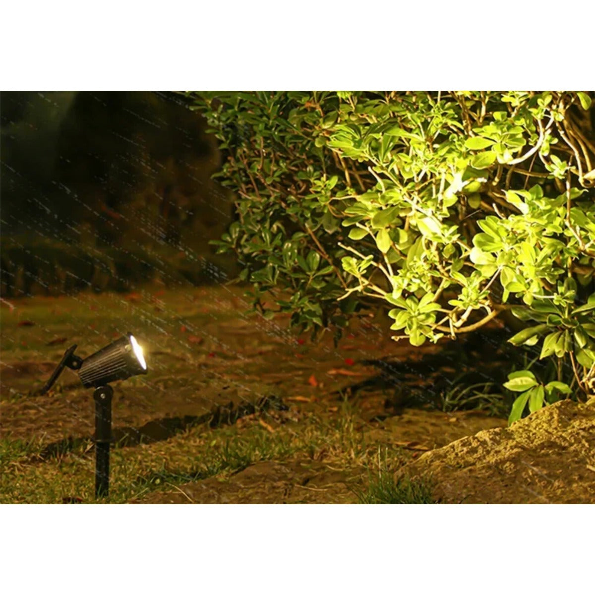 Solar spotlight lighting garden path