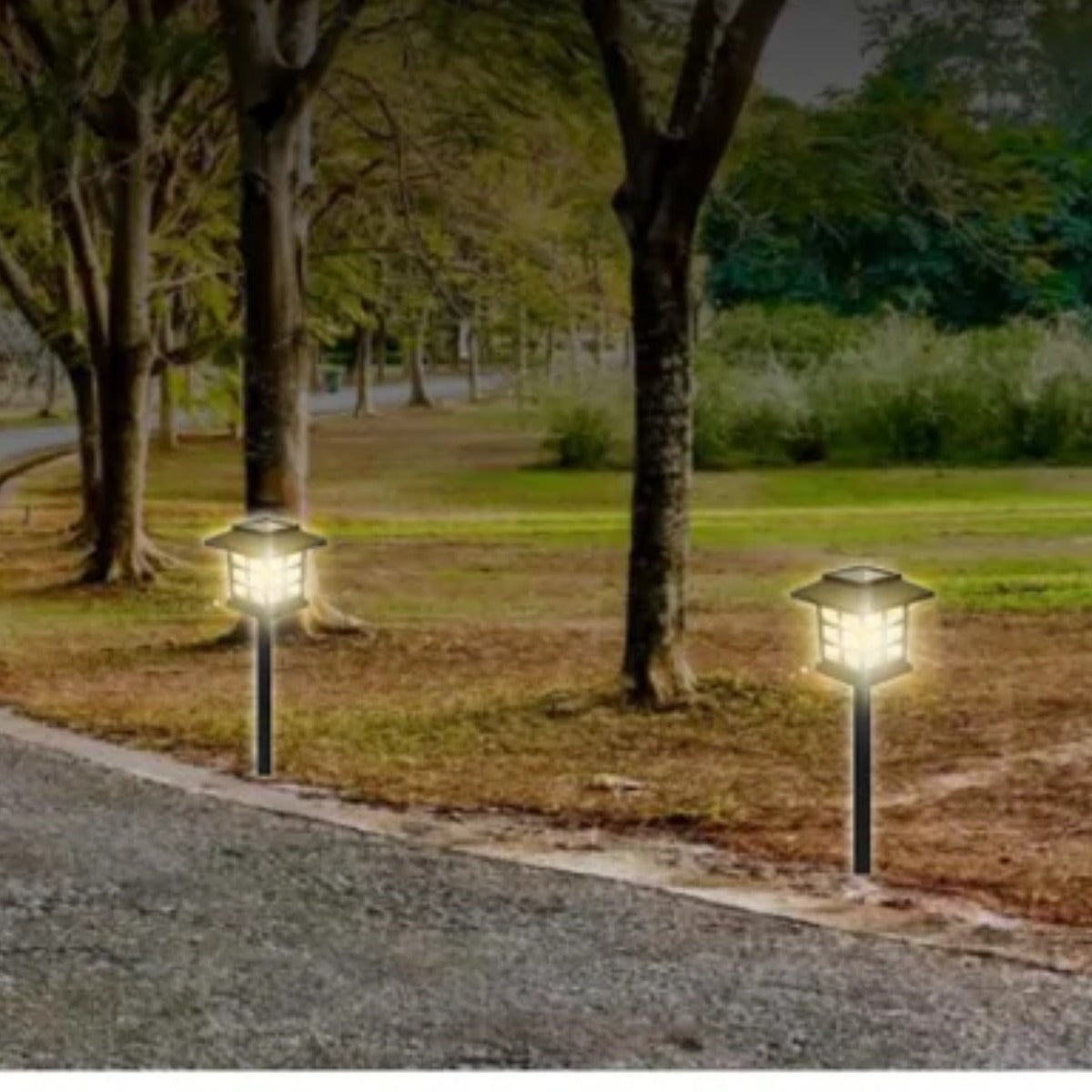 8 Pack Solar Pathway Garden Lights Outdoor Waterproof Landscape