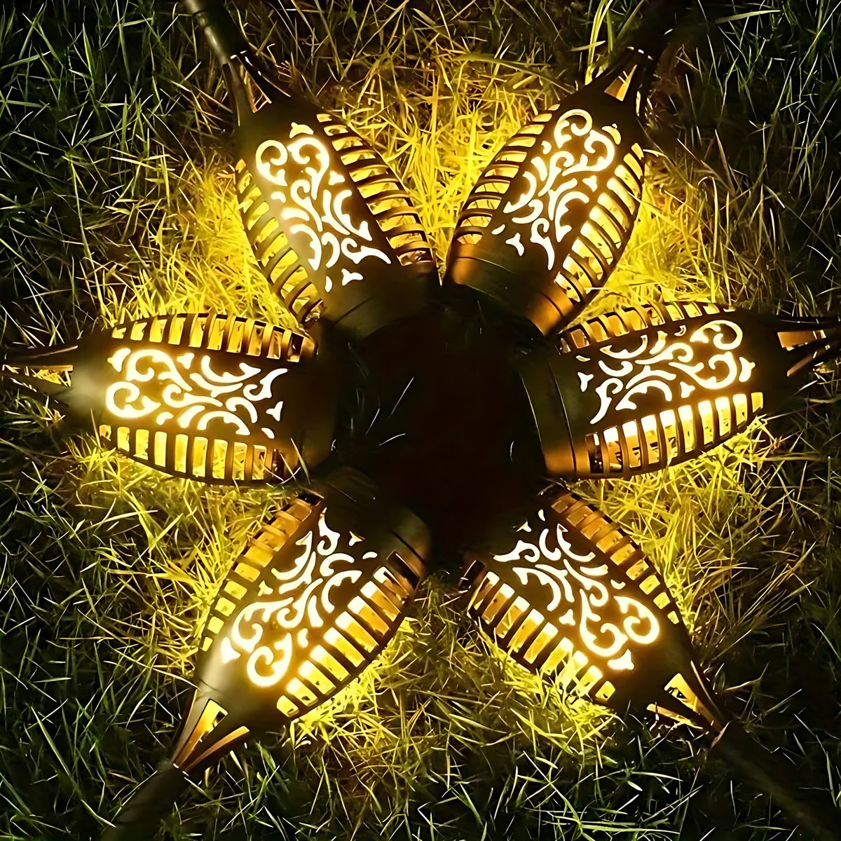 Salamandra