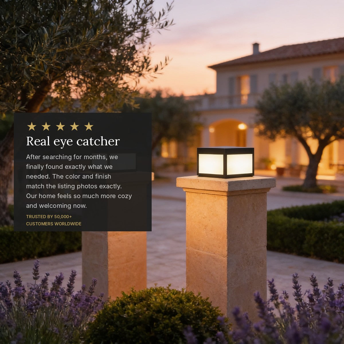 review_overlay_8945875746868