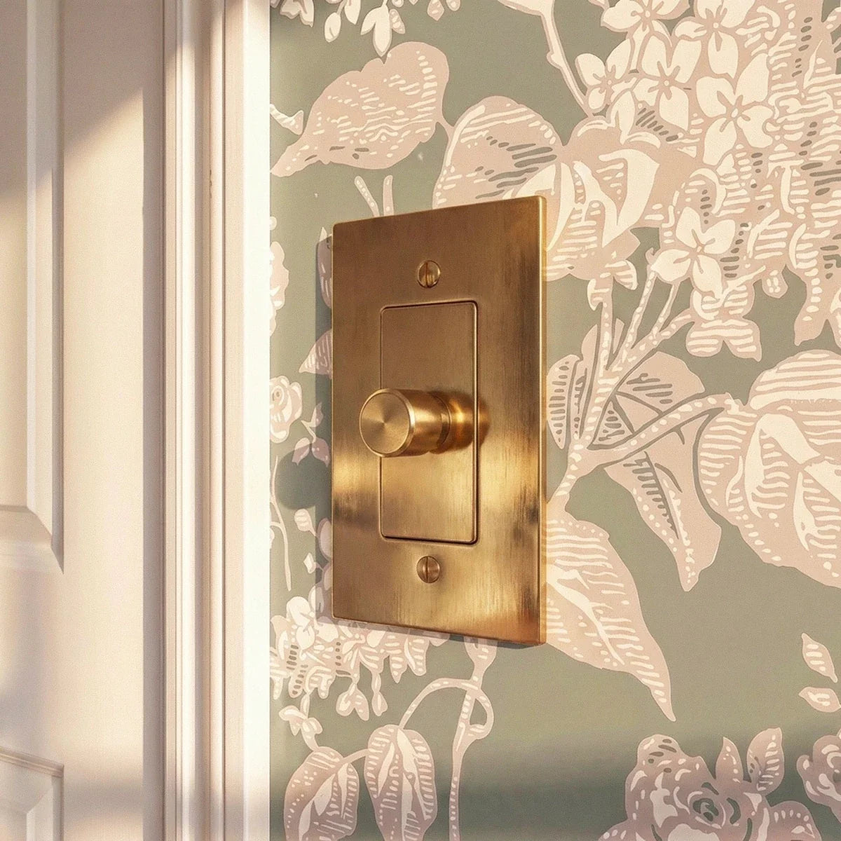 Unlacquered Brass Dimmer Switch