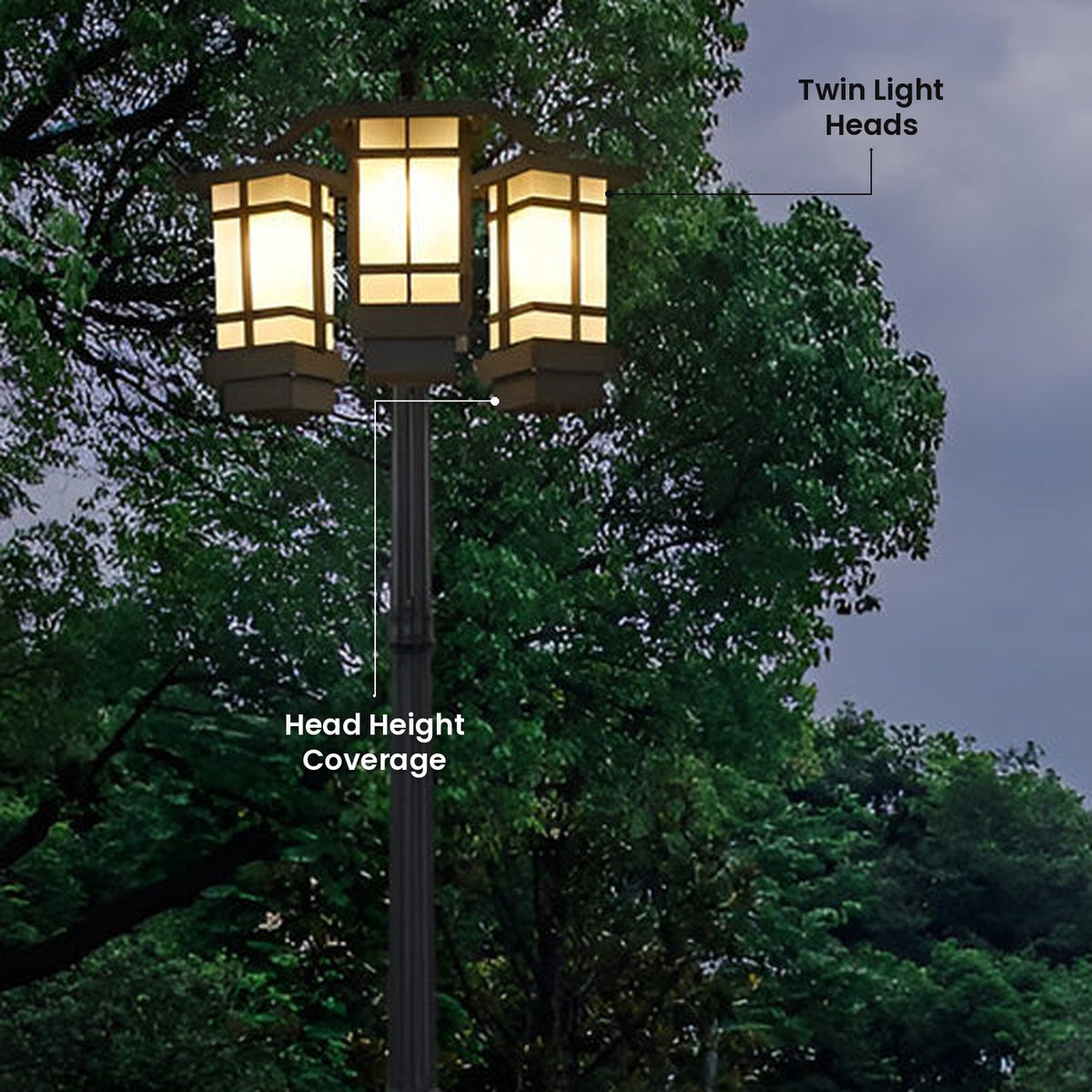 Twin Head Post Light: Twin Light Heads, Head Height Coverage