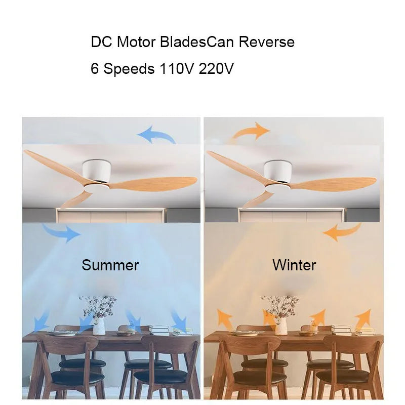 Quiet DC Motor Ceiling Fan