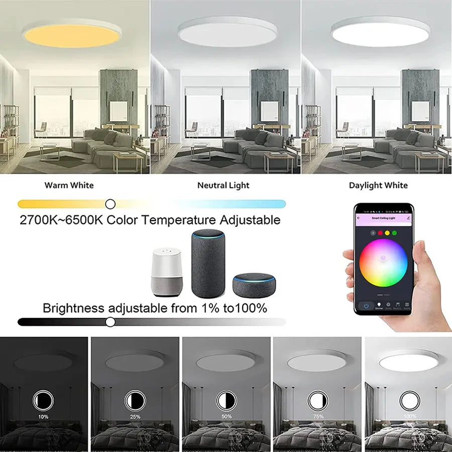 Smart WiFi Ceiling Light 24W 220V RGB Circular Ambient Lamp APP Control