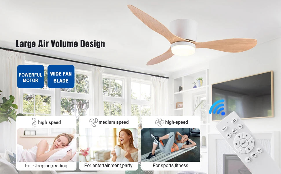 Large DC Motor Ceiling Fan