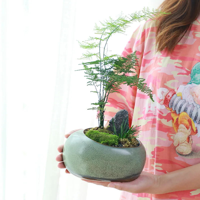 Retro Ceramic Succulent Pot
