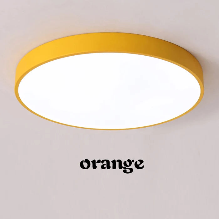 Modern LED Flush Mount Ceiling Light