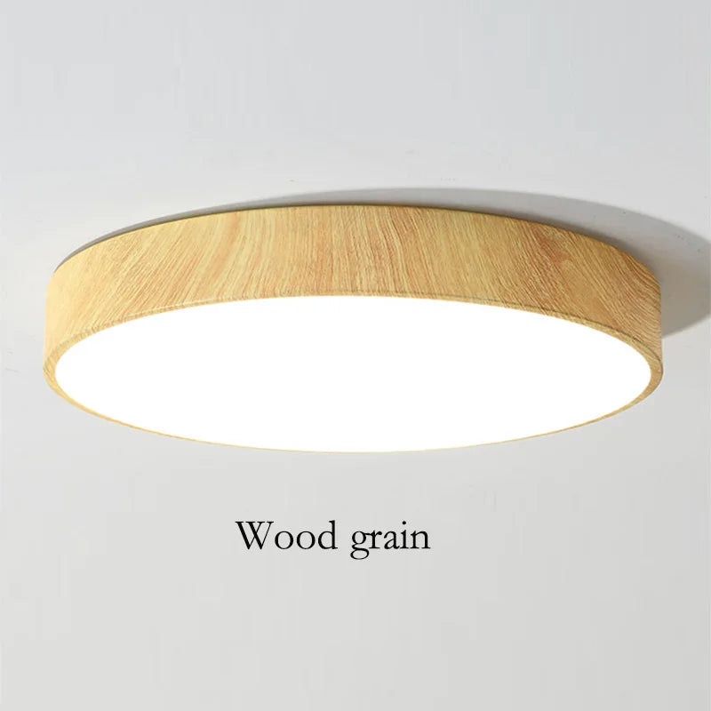 Modern LED Flush Mount Ceiling Light