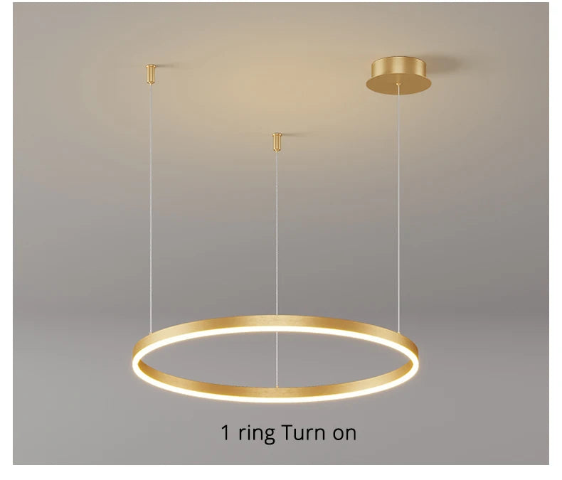 Modern Circular Ring LED Chandelier