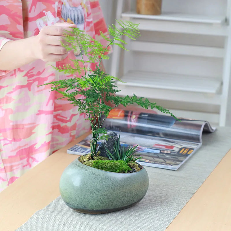 Retro Ceramic Succulent Pot