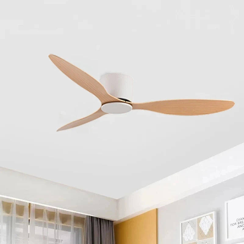 Quiet DC Motor Ceiling Fan