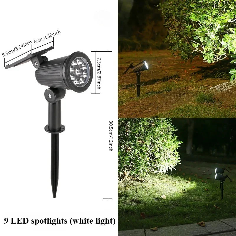 Solar Landscape Spotlight