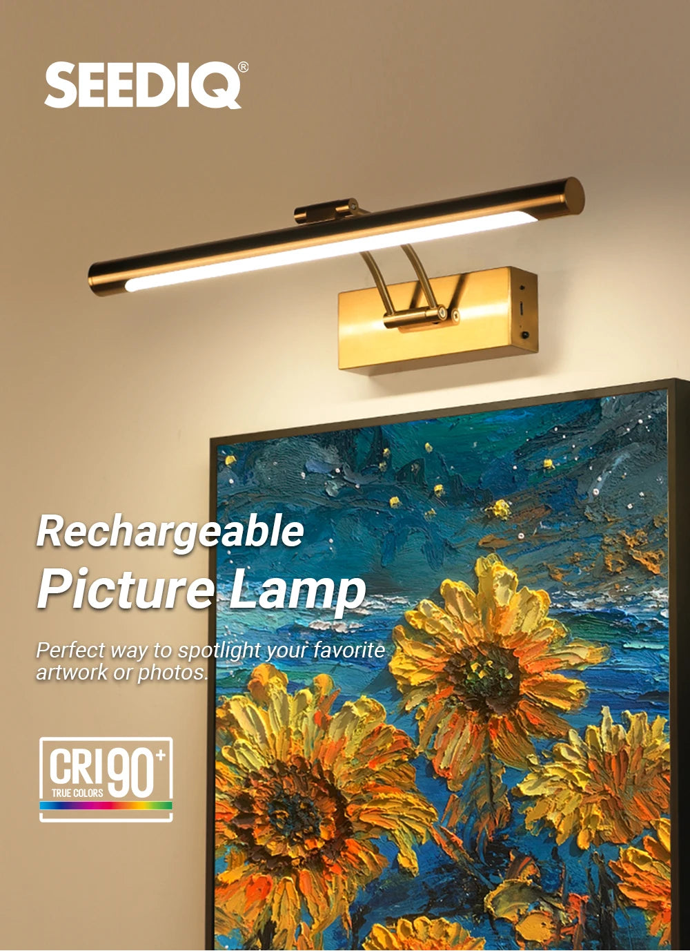 Rechargeable Picture Light with Remote
