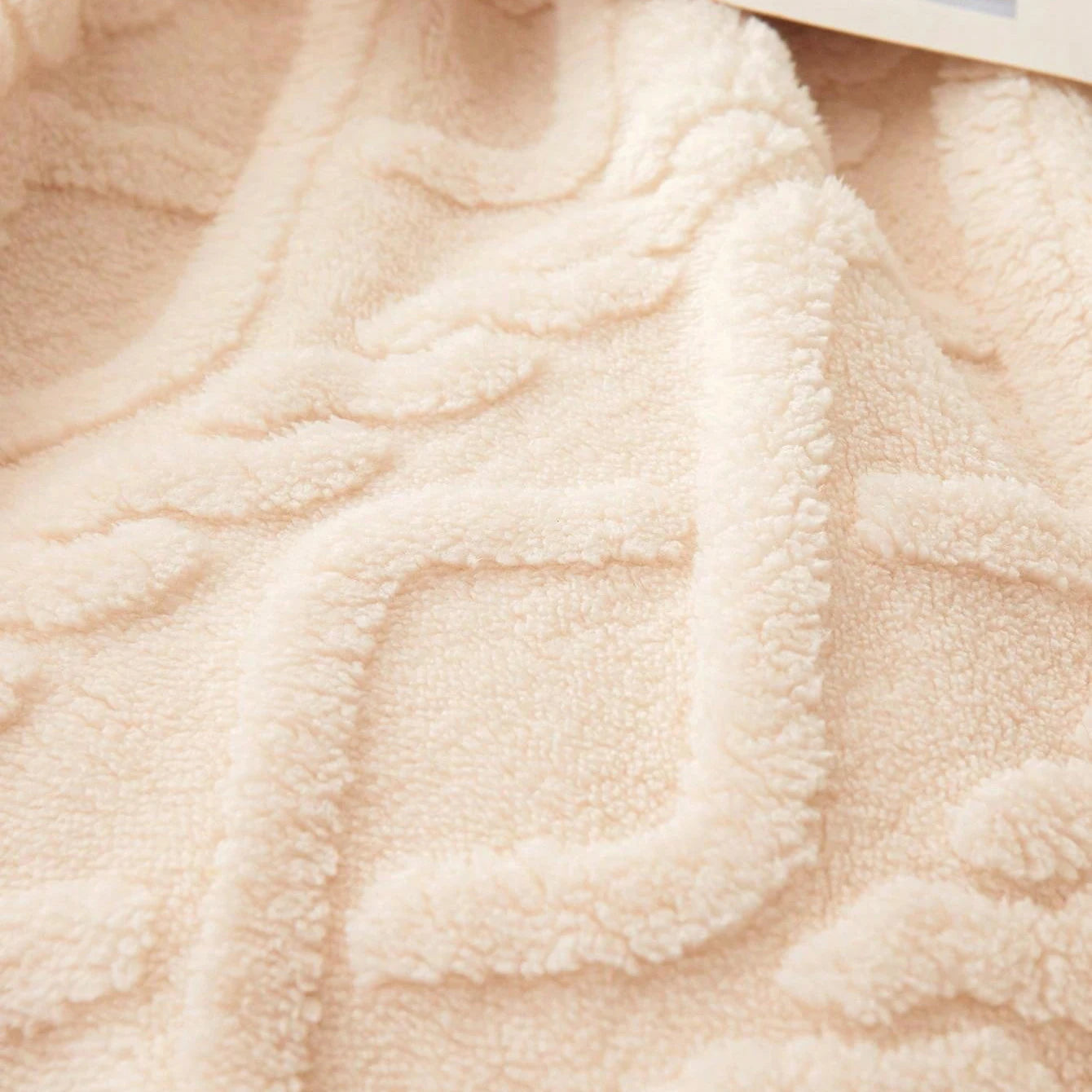 Coral Fleece Lightweight Blanket